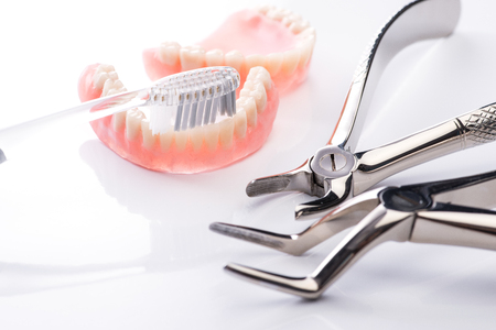 Teeth model with toothbrush and forceps on white surface