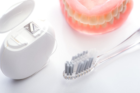 Teeth model with toothbrush and dental floss on white surfaceの写真素材
