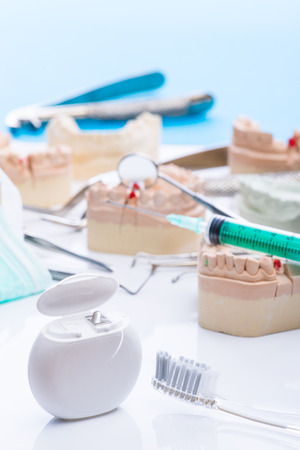 Teeth mold and basic dental tools on white surfaceの写真素材