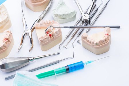 Teeth mold and basic dental tools on white surface