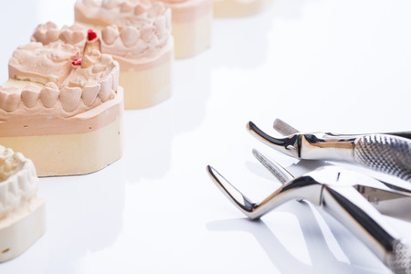Teeth molds with basic dental tools on a bright white surface