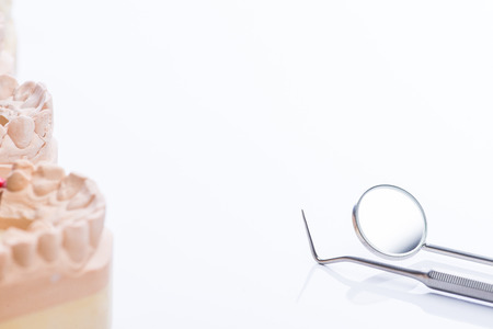 Teeth molds with basic dental tools on a bright white surface