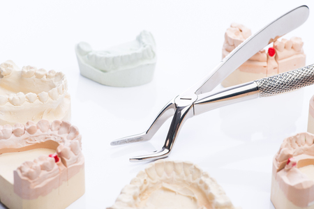 Teeth molds with basic dental tools on a bright white surfaceの写真素材