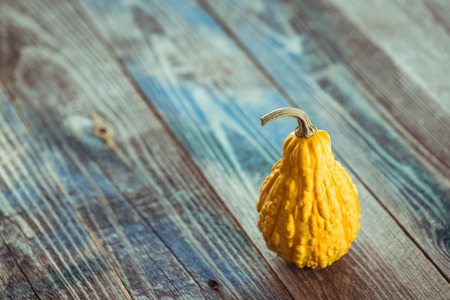 Decorative gourd on a rustic wooden tableの写真素材