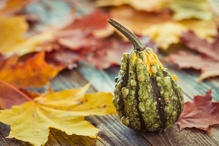 Decorative gourd on a rustic wooden tableの写真素材