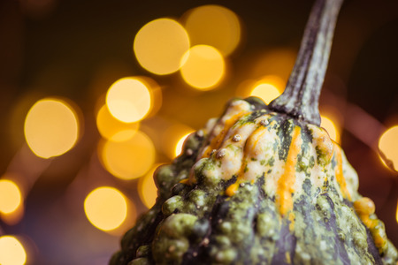 Decorative gourd on a rustic wooden tableの写真素材