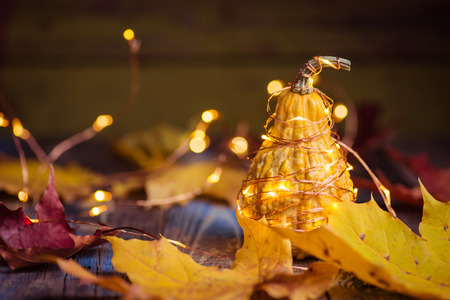 Decorative gourd on a rustic wooden tableの写真素材
