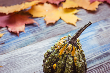 Decorative gourd on a rustic wooden tableの写真素材