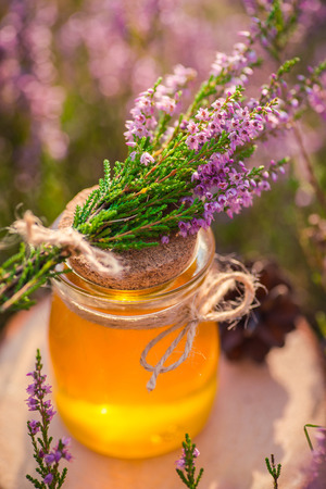 Honey. Jar with natural heather honey in a bush of heather under the evening sunの写真素材