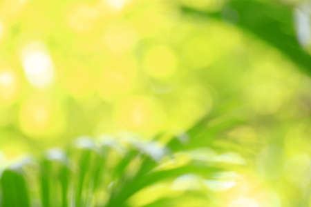 Bokeh blurredの写真素材