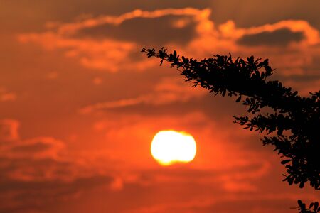 Sunriseの写真素材