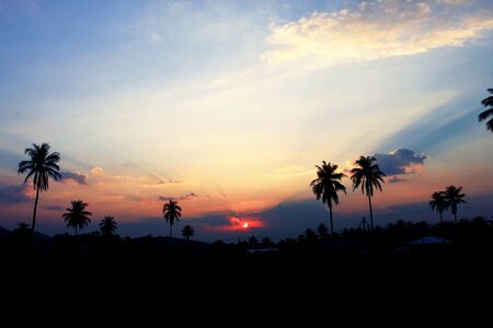 Sunsetの写真素材