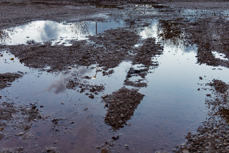 Mud-drenched road with large puddles capturing reflections of cloudy sky and surrounding trees, creating a moody rainy-day scene.の写真素材