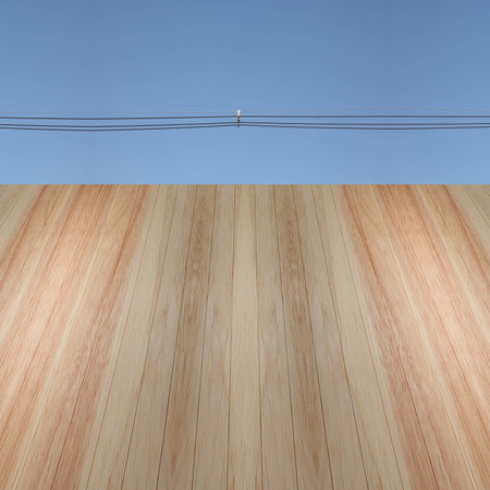 Texture of wood backgroundの写真素材