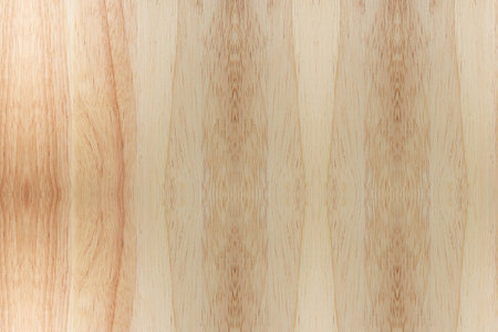 Texture of wood backgroundの写真素材