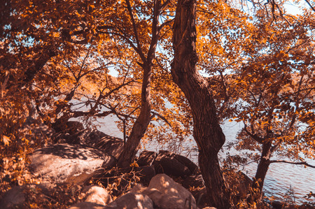 autumn landscape near the waterの写真素材