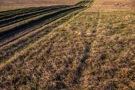 Countryside road overgrown with grass  Lots of wheel ruts の写真素材
