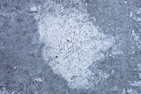 Grey concrete surface with lime spot and rich and various texture. の写真素材
