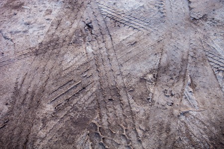 Lots of wheel tracks on the ground.