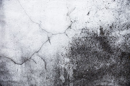 Whitewashed wall with rich and various texture.の写真素材