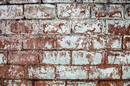 Old whitewashed brick wall with rich texture.
