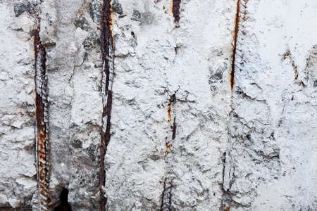 Whitewashed concrete surface with visible rusty reinforcement bars.の写真素材