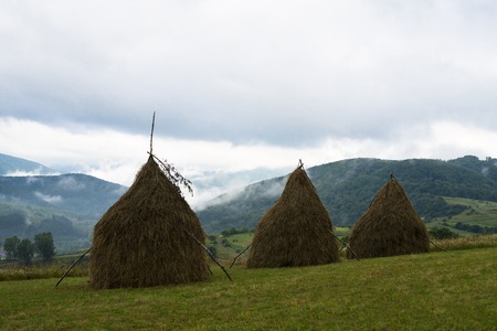 Three haystacks against the morning summer landscape in the Ukrainian Carpathiansの写真素材