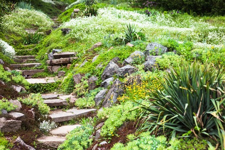 Stony stairs in the green blooming garden.の写真素材