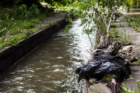 Water pollution. Garbage on the banks of the urban stream.の写真素材
