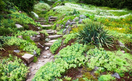 Stony path and stairs in the green blooming garden.