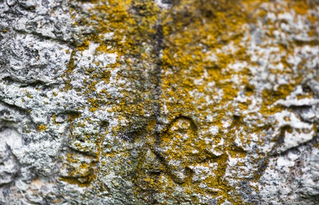 Moss-grown surface of the old stone cross with engraved Old Church Slavonic inscriptions. Kyiv, Ukraine. Close up.の写真素材