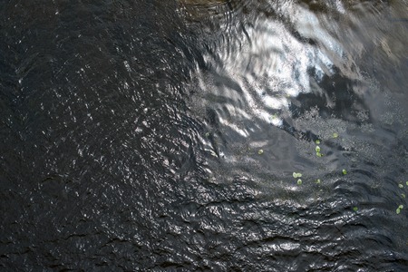 Water surface with ripples and water plants.