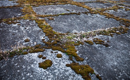 Old grey concrete pavement overgrown with moss.の写真素材
