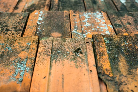 Old dirty orange roof tiles with moss and lichen.の写真素材