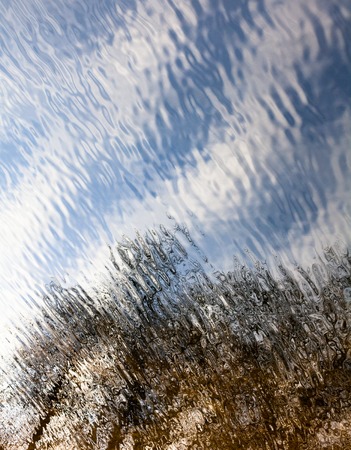 Rippled water surface with the reflection of the leafless trees and blue skyの写真素材