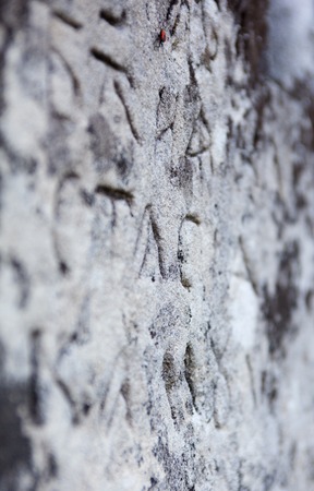 The surface of the old cross gravestone with engraved Old Church Slavonic inscriptions. Kyiv, Ukraine. Close up.の写真素材