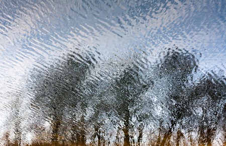 Rippled water surface with the reflection of the leafless trees and blue skyの写真素材