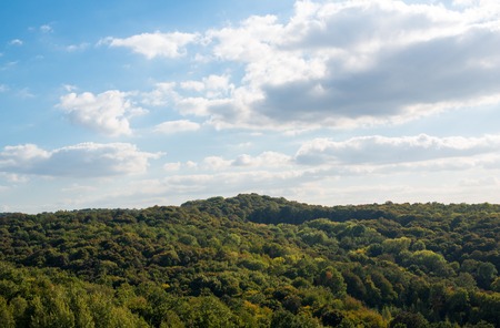 Forest at the beginning of the autumn. Ukrainian Bukovina region.の写真素材