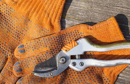 Pruning shears and orange protective gloves on the wooden surface.の写真素材