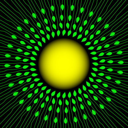 Green stems and leaves around the sun. Spring or summer background. Vector illustration.のイラスト素材