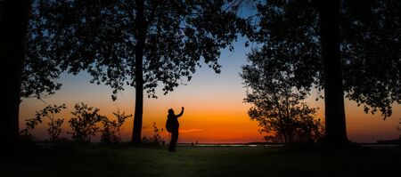Silhouette of trees and manの写真素材