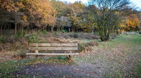 Bench in natureの写真素材