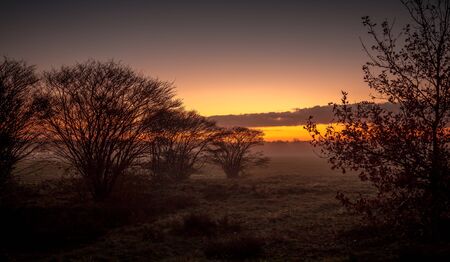 Sunrise in the field with trees and a colorful skyの写真素材