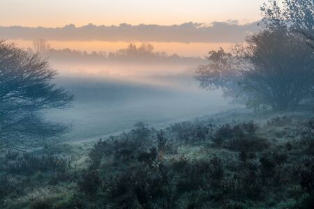 Sunrise in the field with trees and a colorful skyの写真素材
