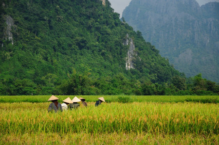 Farmerの写真素材