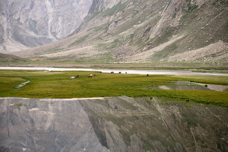 Wide field in Zanskarの写真素材