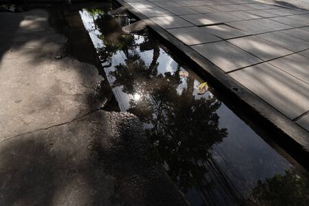 Leaves in waterlogged in the street after the rain.の写真素材