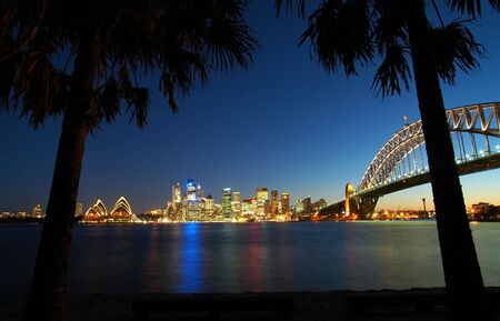 black palms in foreground, famous sydney scenery in background, night shotの写真素材
