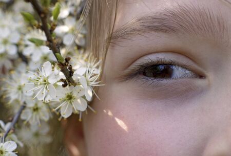 little girls eye detail, white flowers in her hairの写真素材