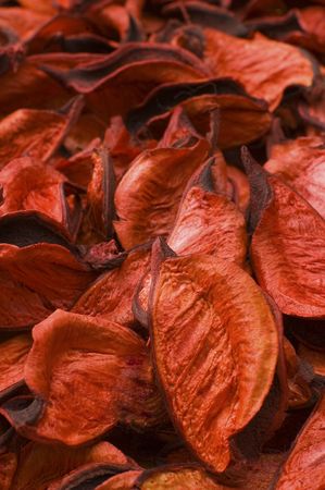 red decorative flower pedals, shallow depth of viewの写真素材